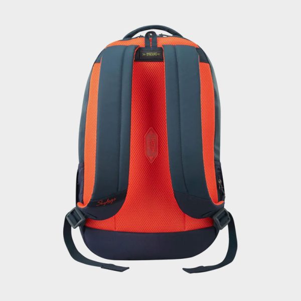 Skybags Backpack Campus