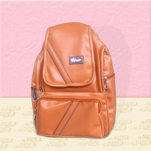 Stylish Ladies Backpack